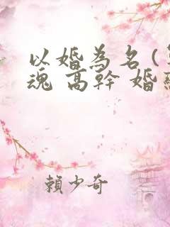 以婚为名 (军魂 高干 婚恋)