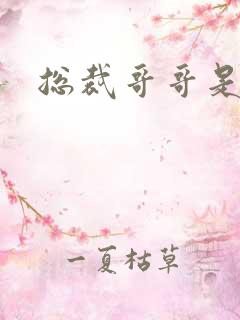 总裁哥哥是我的