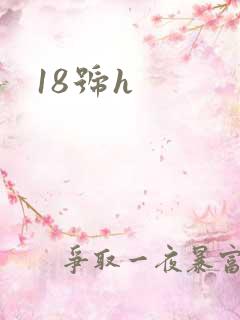 18号h