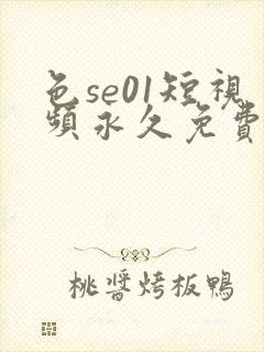 色se01短视频永久免费
