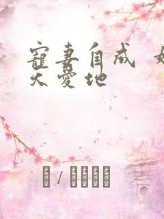 宠妻自成  婚天爱地