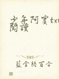 少年阿宾txt阅读