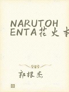 NARUTOHENTA花火本子