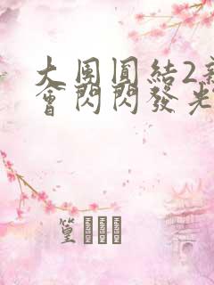 大团圆结2亲情会闪闪发光亲情会2