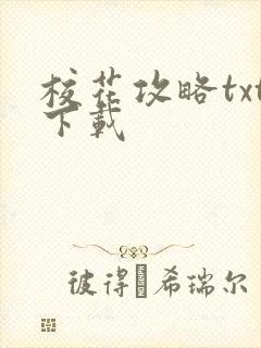 校花攻略txt下载