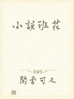 小说班花