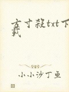 方寸杀txt下载