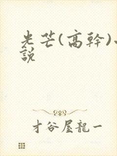 光芒(高干)小说