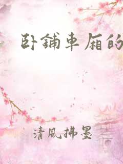 卧铺车厢的艳遇