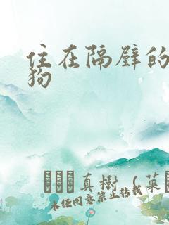 住在隔壁的小狼狗