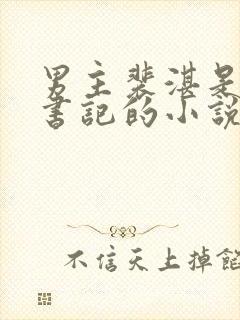 男主裴湛是省委书记的小说