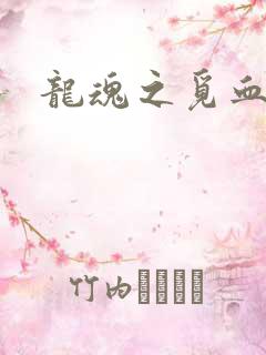 龙魂之觅血心缘