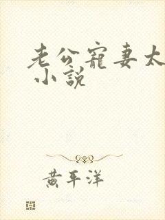 老公宠妻太甜蜜 小说