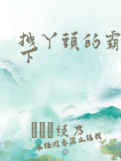 拽丫头的霸道殿下