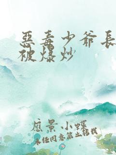 恶毒少爷长大后被爆炒