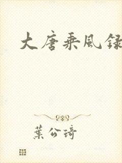 大唐乘风录