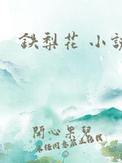 铁梨花 小说