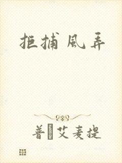 拒捕 风弄
