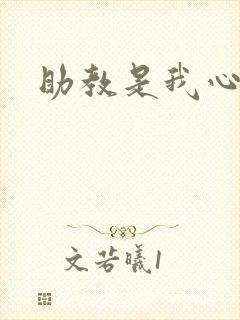 助教是我心尖宠