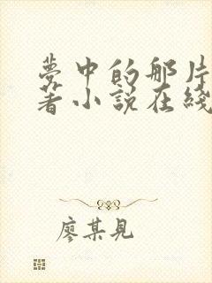 梦中的那片海原著小说在线阅读