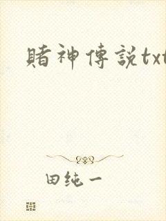 赌神传说txt