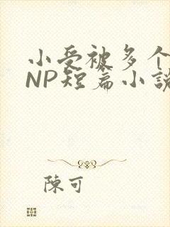 小受被多个攻强NP短篇小说