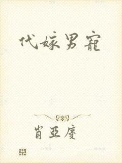 代嫁男宠
