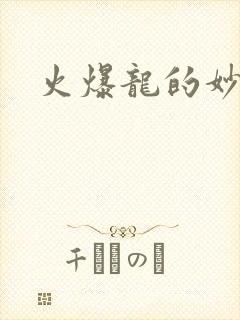 火爆龙的妙管家