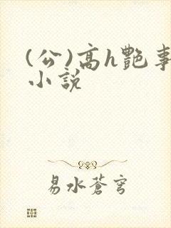 (公)高h艳事小说