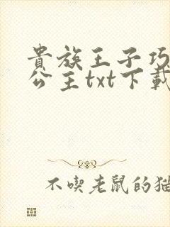 贵族王子巧遇穷公主txt下载