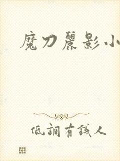 魔刀丽影小说