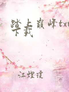 踏上巅峰txt下载