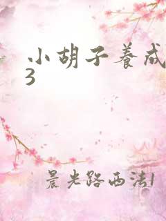 小胡子养成计划3