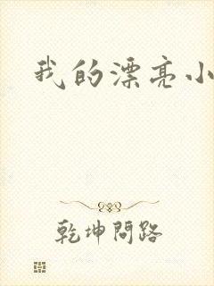 我的漂亮小后妈