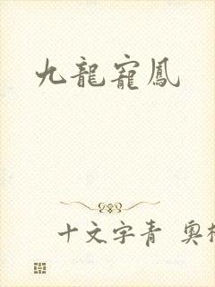 九龙宠凤