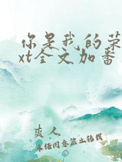 你是我的荣耀txt全文加番外