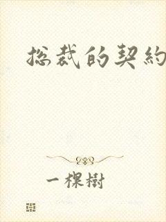 总裁的契约情人