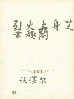 引火上身芝麻糖笔趣阁