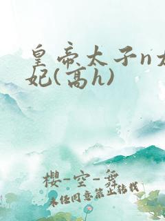 皇帝太子n太子妃(高h)