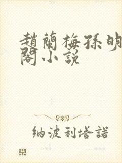 赵兰梅孙明笔趣阁小说