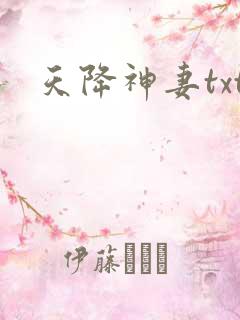 天降神妻txt
