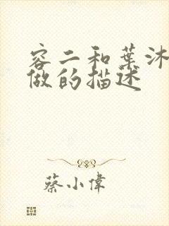 容二和叶沐走着做的描述