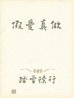 假爱真做