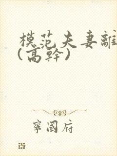 模范夫妻离婚了(高干)