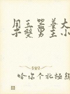 用玉器养大的皇子双男主小说