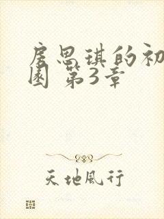 房思琪的初恋乐园 第3章