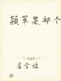 颖军是哪个军阀