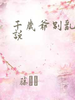 千岁爷别乱来小说