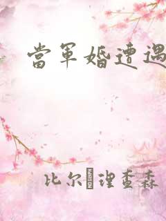 当军婚遭遇爱情