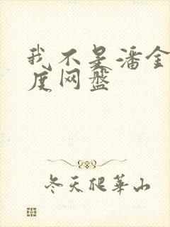 我不是潘金莲百度网盘